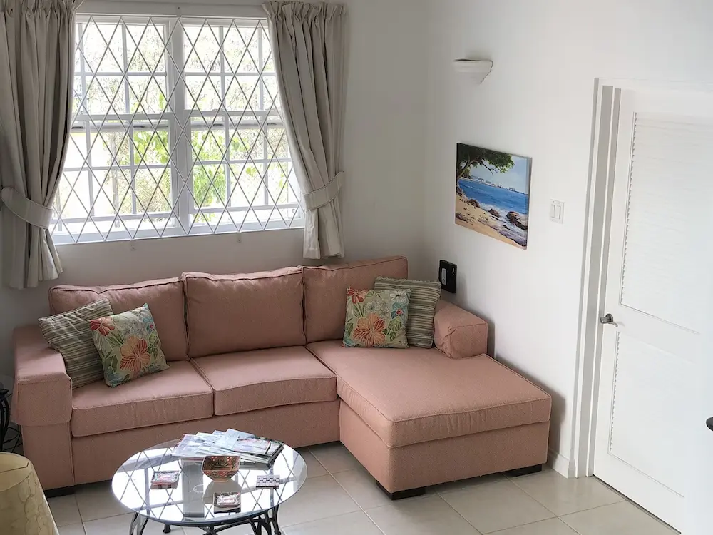 Living area at 7 Springcourt with sofa, artwork and diamond-lattice window overlooking greenery.