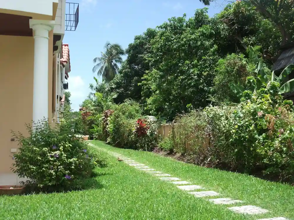 Tropical gardens surrounding the communal pool at 7 Springcourt.